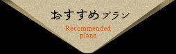 ߃v@recommended plans